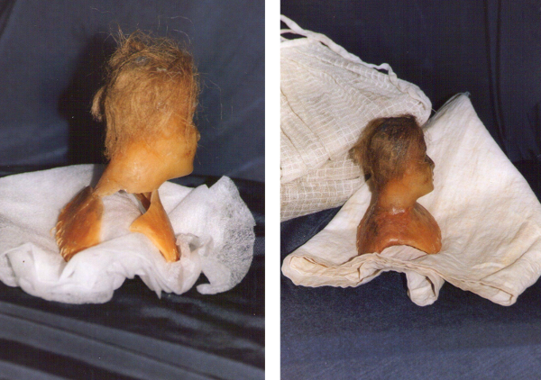 fase restauro madonna